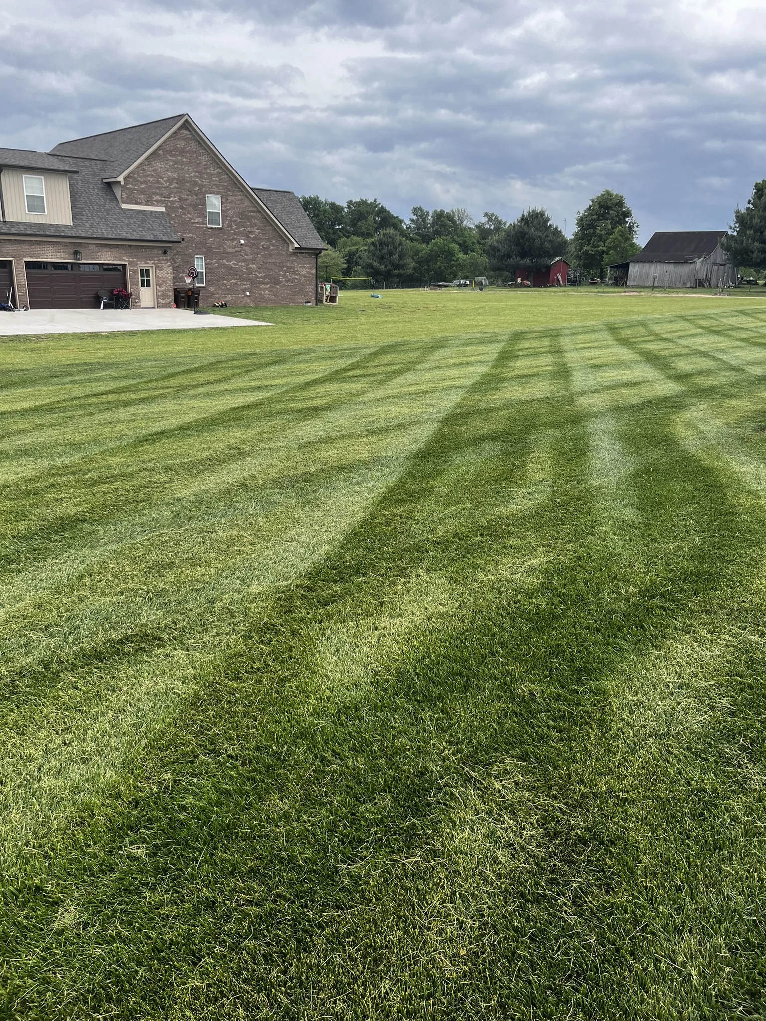 Treated fescue lawn with well-defined stripes showing a clear property line where Mr. Lawn Care treatment ends and untreated neighbor grass begins