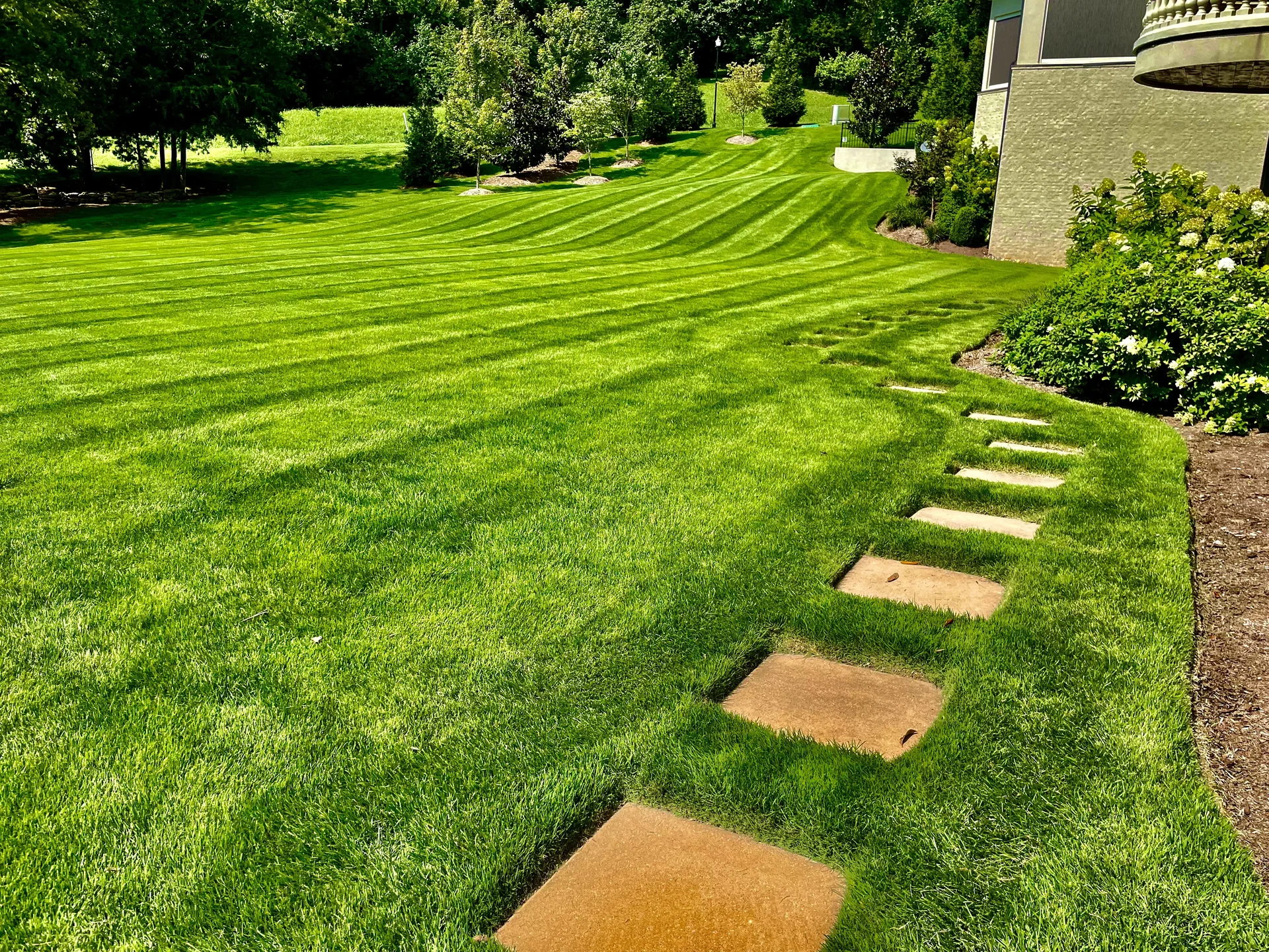 Beautiful Belle Meade TN lawn with grass growing perfectly to paver walkway edges — Mr. Lawn Care