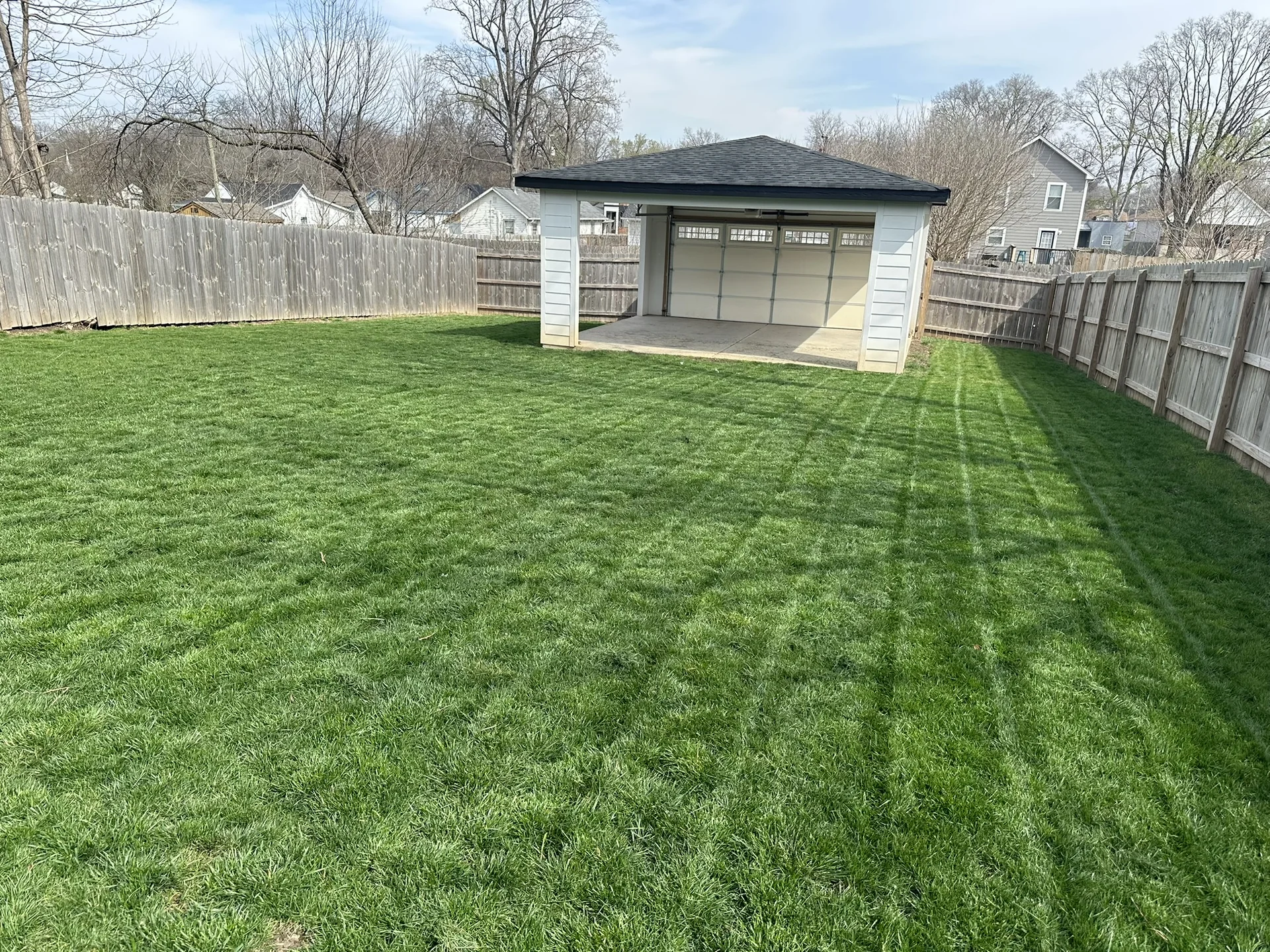 Thick striped fescue back yard in Middle Tennessee after a full year of Mr. Lawn Care treatment