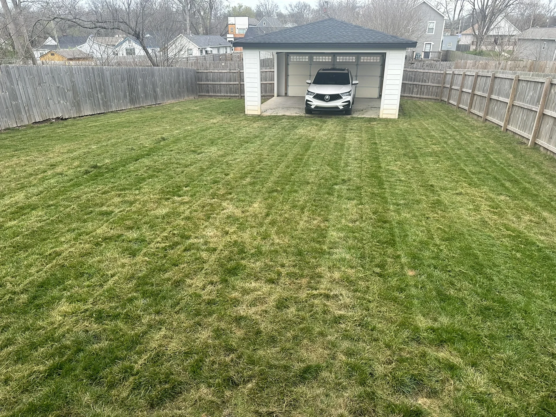 Patchy thin back yard fescue lawn in Middle Tennessee before Mr. Lawn Care treatment
